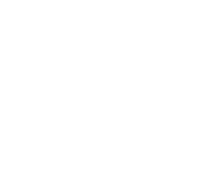 villanova-partner.png